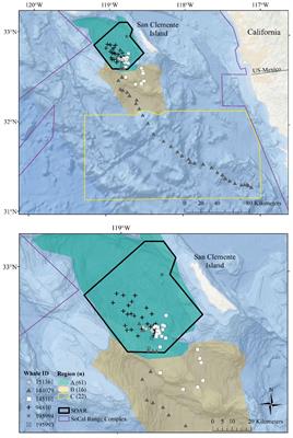 Insights into foraging behavior from multi-day sound recording tags on goose-beaked whales (Ziphius cavirostris) in the Southern California Bight